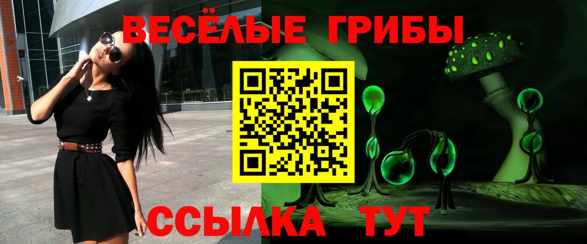 Галлюциногенные грибы прущие грибы  Вход с VPN  Избербаш 
